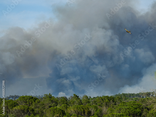 Wildfire in the Massifs des Maures, South of France