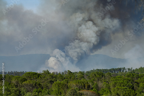 Wildfire in the Massifs des Maures, South of France