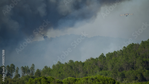 Wildfire in the Massifs des Maures, South of France