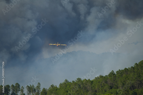 Wildfire in the Massifs des Maures, South of France