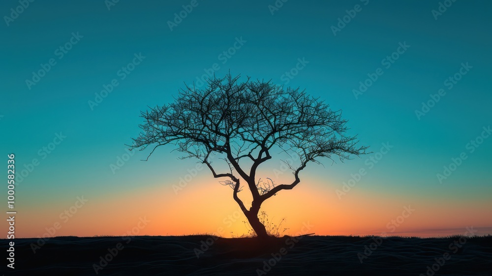 Silhouetted Leafless Tree Against a Dramatic Sky in Minimalist 8K High-Resolution for Nature, Landscape, and Environmental Concepts
Silhouetted Leafless Tree Against a Dramatic Sky in Minimalist 8K High-Resolution for Nature, Landscape, and Environmental Concepts