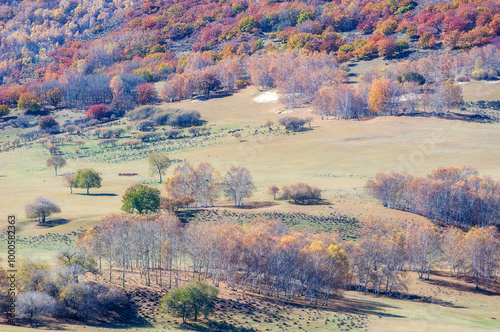 Autumn view of Toad Dam, Wulan Butong Township, Hexigteng Banner, Chifeng City, Inner Mongolia Autonomous Region, China photo