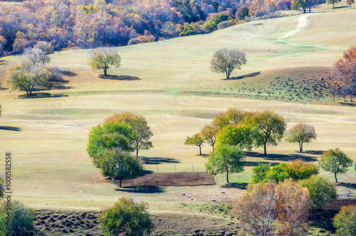 Autumn view of Toad Dam, Wulan Butong Township, Hexigteng Banner, Chifeng City, Inner Mongolia Autonomous Region, China photo