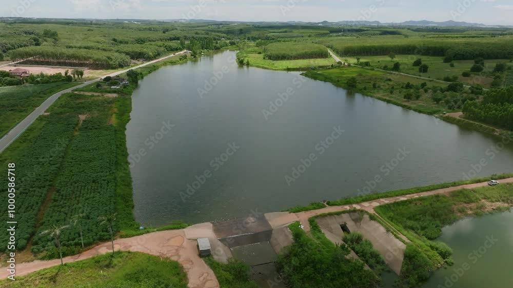 Exploring the Scenic Lakeside Landscape and Lush Greenery of the Rural Countryside in the Early Afternoon Sunlight Exploring the Scenic Lakeside Landscape and Lush Greenery of the Rural Countryside in the Early Afternoon Sunlight