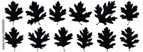 Leaf silhouette set vector design big pack of foliage illustration and icon