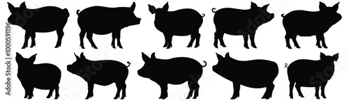 Pig silhouette set vector design big pack of animal illustration and icon
