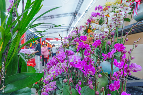 Flowers at the Flower Market