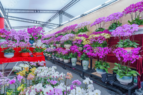Flowers at the Flower Market