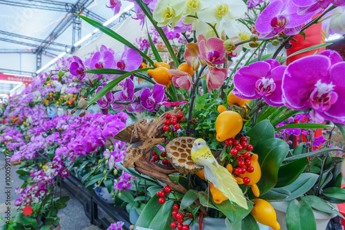 Flowers at the Flower Market