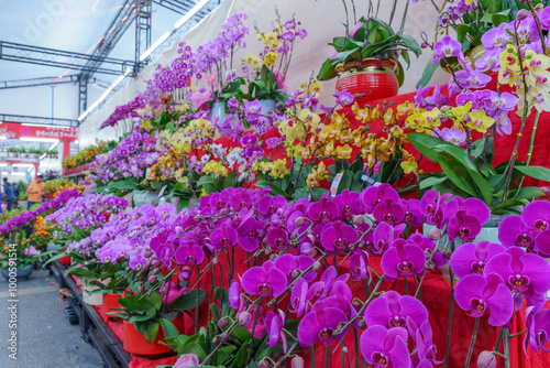 Flowers at the Flower Market