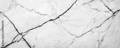 White Marble Texture with Black Veins Minimalist Background