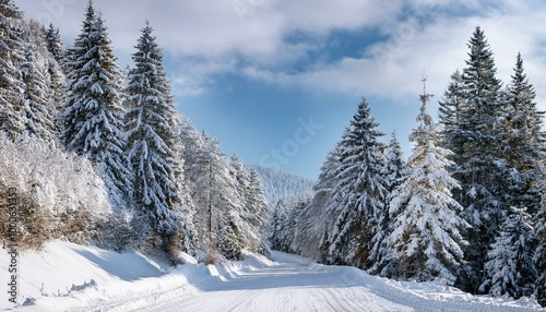 Snowy road through forest