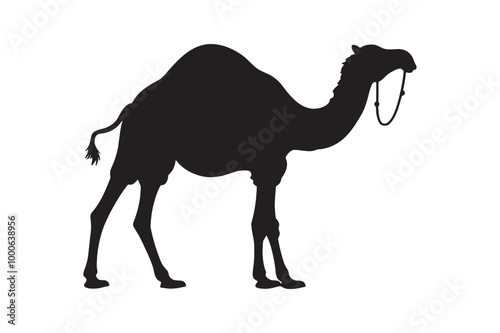 Camel silhouette on a white background.