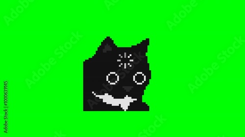 Angry cat, animal meme animation pixel art