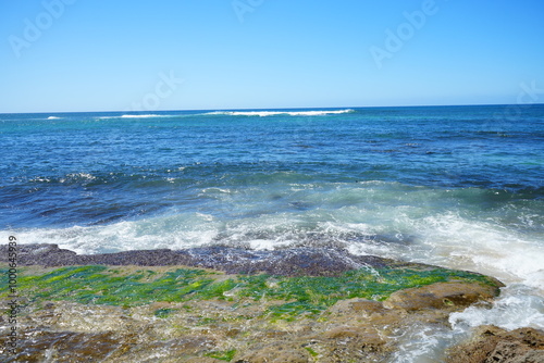 Beautiful Beach with Blue Ocean at Laniakea Beach in Hawaii, United States - アメリカ ハワイ ラニアケアビーチ