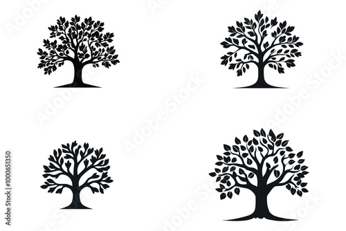 various deciduous trees silhouettes on the white background