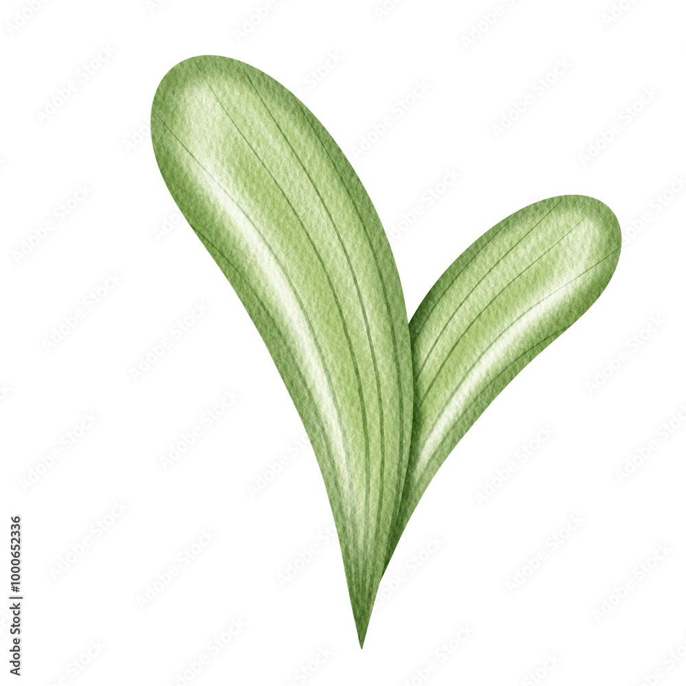 Fototapeta premium Watercolor Green Leaves Element.