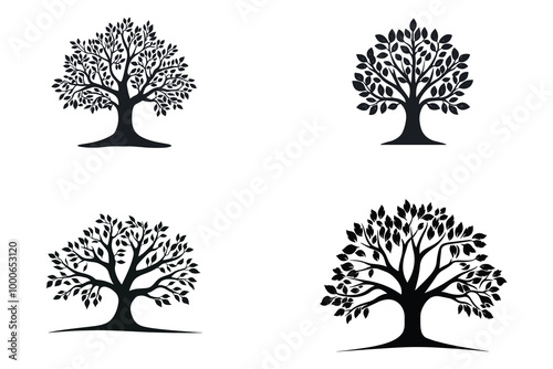 various deciduous trees silhouettes on the white background