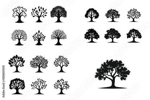 various deciduous trees silhouettes on the white background