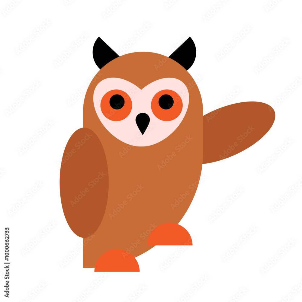 owl owl
