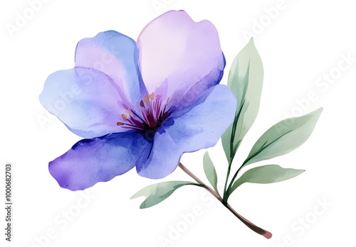 Watercolor flower illustration isolated on a white background, simple watercolor clipart cutout, 