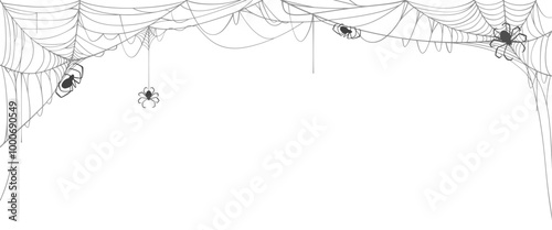 Spider web line art vector