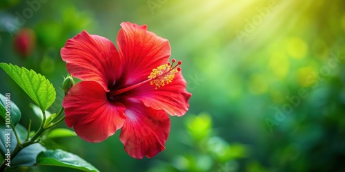 Vibrant red hibiscus flower on a green background, tropical, exotic, bloom, petals, vibrant, nature, plant, garden, flora, colorful