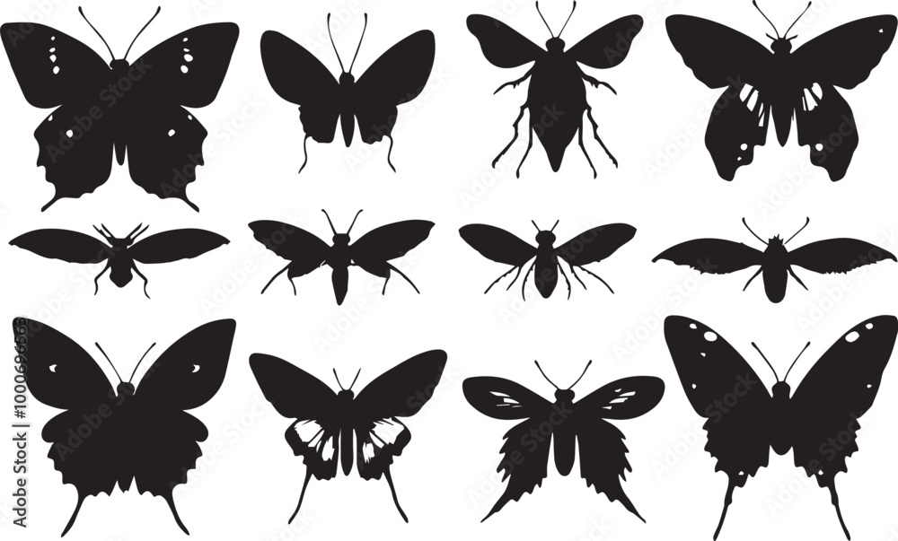 set of silhouettes of insects on white background set of silhouettes of insects on white background