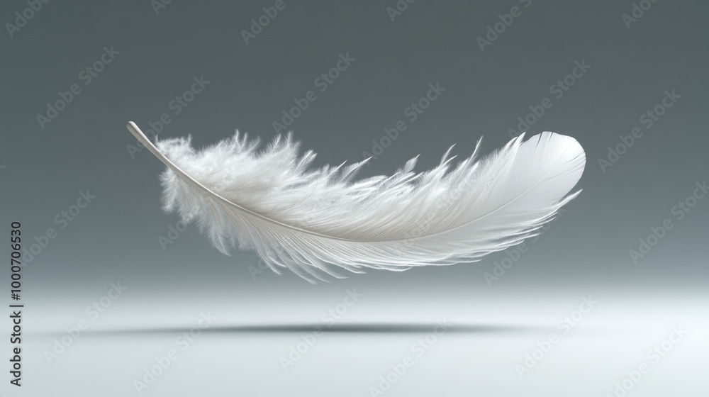 Obraz premium Elegant white feather floating against a soft gradient background