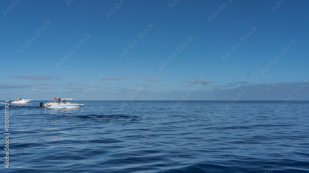 Whale watching. Tourist motorboats in the ocean. The back of a diving sperm whale is visible above the water. Ripples all around. Blue sky, light clouds. Copy space. Mauritius.
Whale watching. Tourist motorboats in the ocean. The back of a diving sperm whale is visible above the water. Ripples all around. Blue sky, light clouds. Copy space. Mauritius.