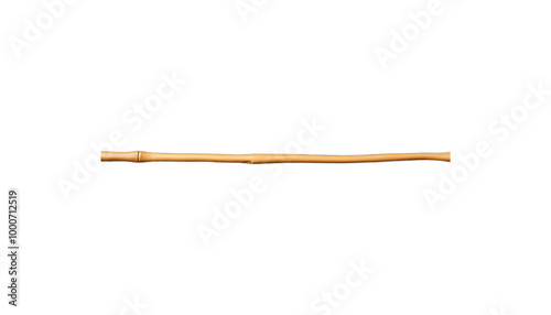 TRANSPARENT PNG ULTRA HD 8K Wooden Stick – Natural Branch, Leafy, Twisted, Smooth Stick with Knots and Variations, Ideal for Design or Decoration