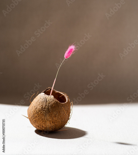 Flower and coconut arrangement. Pink coconut shell plant. Minimalism. photo