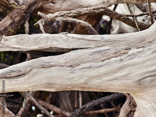 large pile consisting of branches and twigs located on the beach