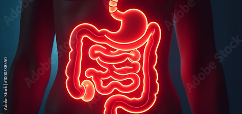 The outline of the bowel glows with neon light photo