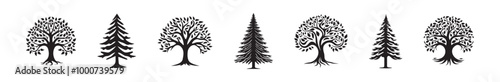 Set of black silhouettes of deciduous and coniferous trees in various styles isolated on a white background. Concept of nature, tree illustration, forest elements, and botanical design