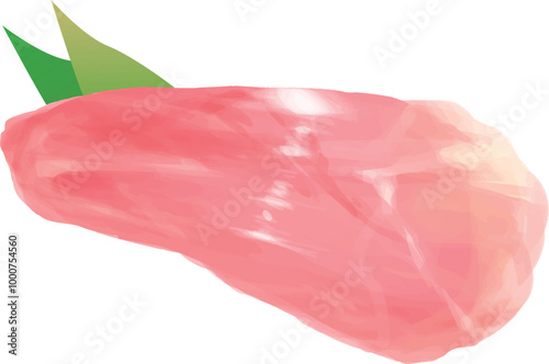 リアル系の鶏肉イラスト