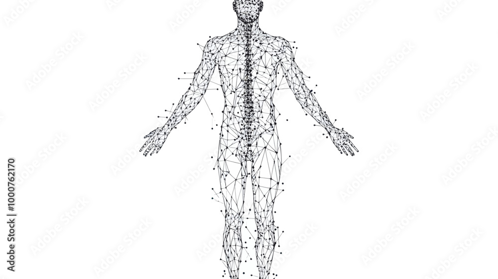 Obraz premium Low-Poly Human Body Outline with Polygonal Lines and Dots Concept for Science and Medicine, Minimalist Vector Illustration