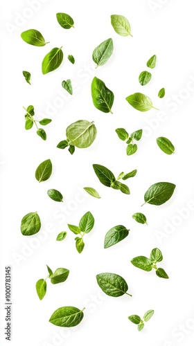 Oregano leaves scattered on white background Generative AI