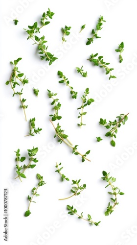 Fresh Thyme Herb Sprigs Isolated on White Background Generative AI
