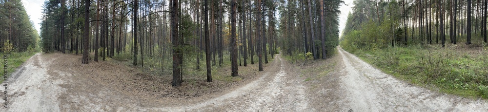 Fototapeta premium Autumn forest landscape cloudy day HDRI