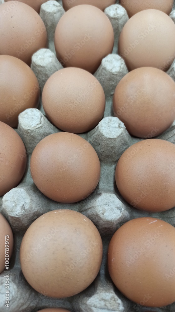 the eggs the eggs