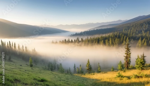  Majestic mountain mist at sunrise