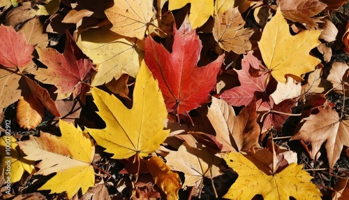  Autumns vibrant palette in a pile of fallen leaves