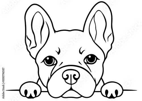 French Bulldog peeking face illustration vector on white background