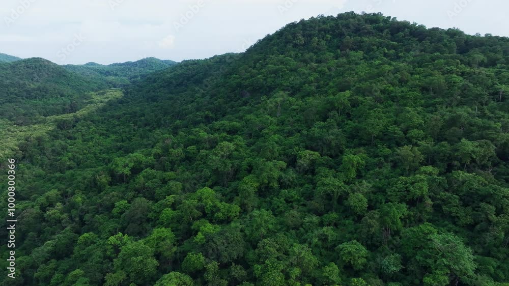 Explore the Lush Green Hills of a Remote Forest in the Tropics During the Early Morning Light Explore the Lush Green Hills of a Remote Forest in the Tropics During the Early Morning Light