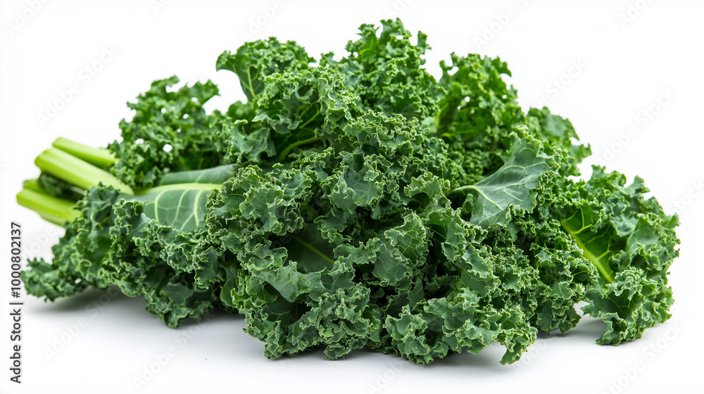 Fresh Curly Kale Bunch