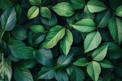 Lush green leaves with intricate veins, forming a natural background.