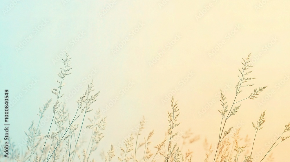 Fototapeta premium Soft Pastel Background with Grass Silhouette