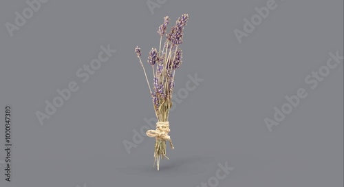 Lavandula or Lavender bunches of dry herbs