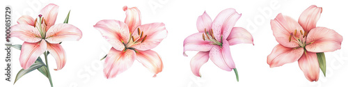 Breathtaking photograph showcasing an exquisite floral arrangement of delicate vibrant pink lilies in full bloom  The flowers  soft petals and lush foliage create a harmonious